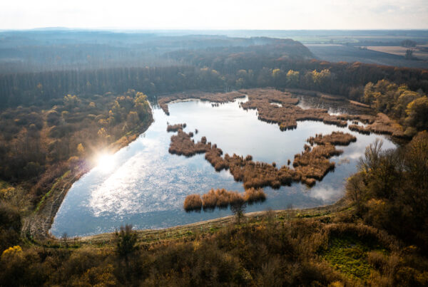 Duna-Dráva Nemzeti Park élőhely fejlesztés