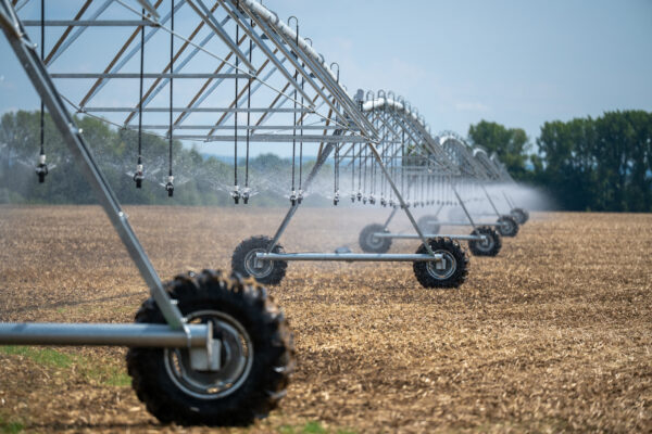 HD_250903_AT_3170 (1)